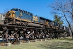 CSX B667 Running on Wood